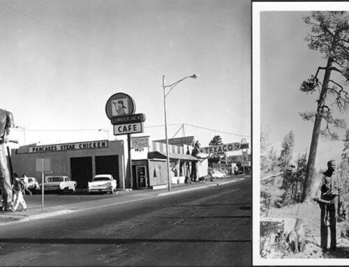 FELLED: Race and Forestry in Northern Arizona