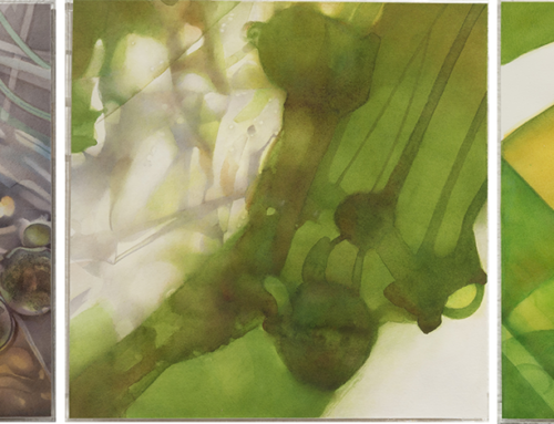 LIFE EXTENDED: Debra Edgerton