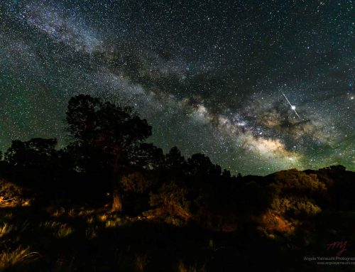 ANGELA YAMAUCHI: Night Skies Photography at Sosta